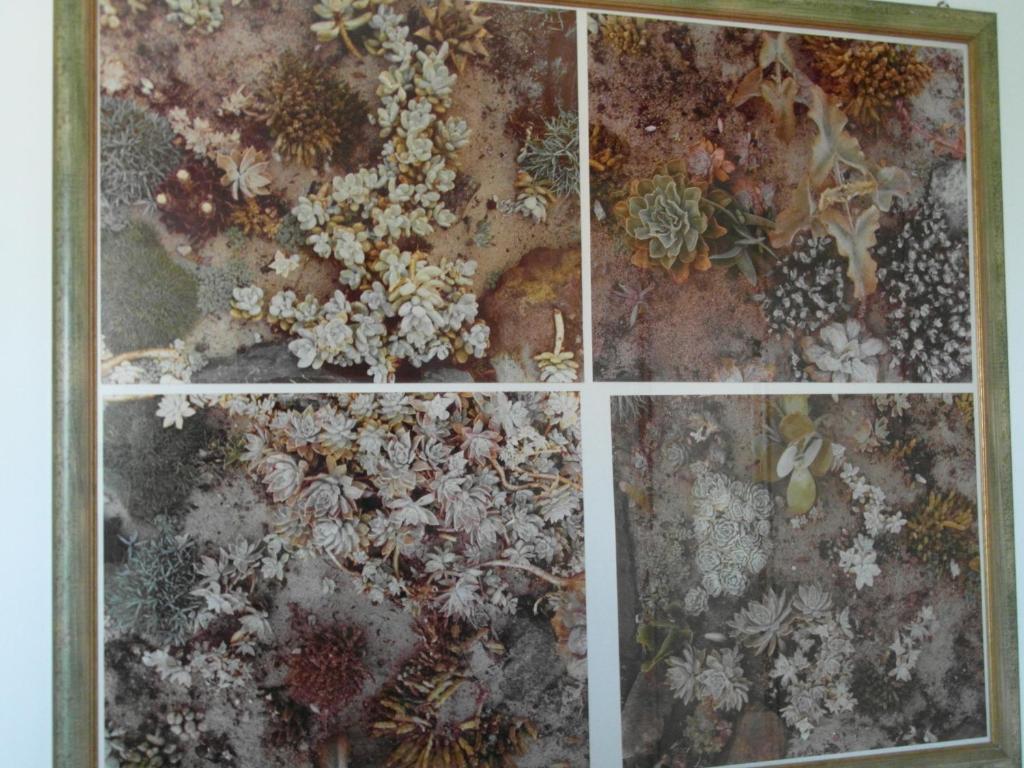 Abitazione Pigneto Rom